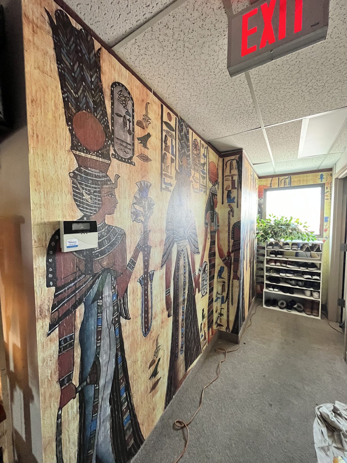Illustrated mural wallpaper installed along a hallway